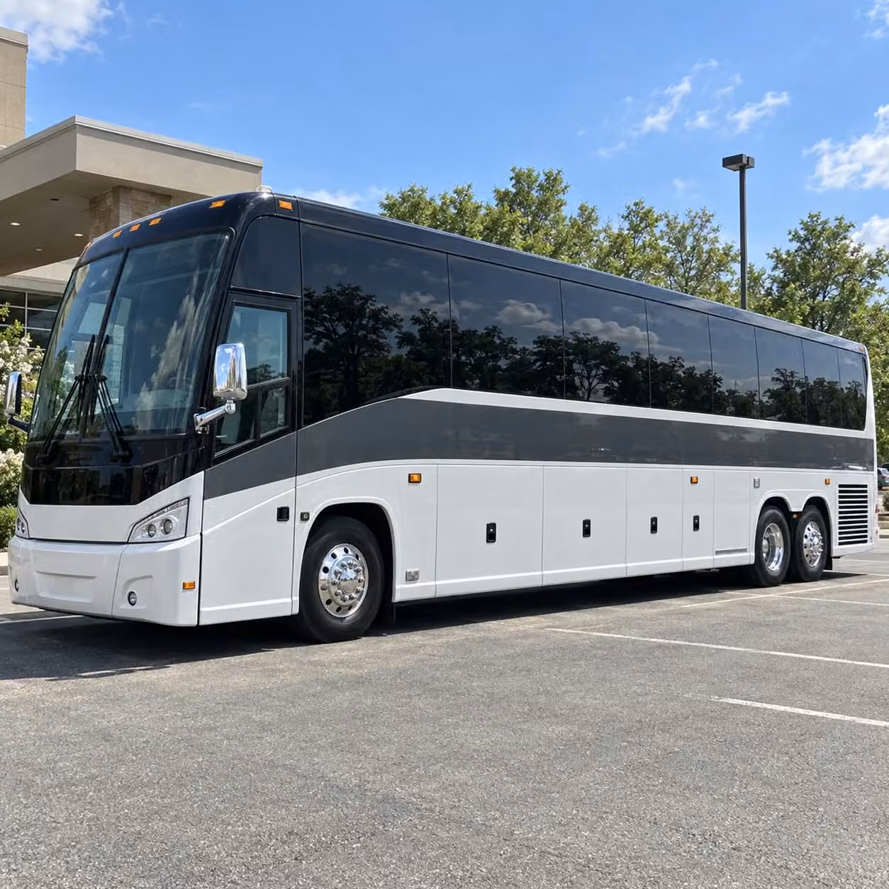 book surprise field trip transportation to the wildlife world zoo and aquarium